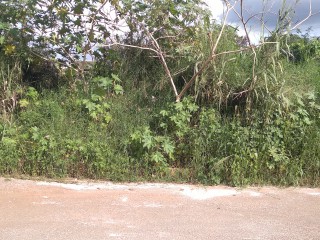 Land For Sale in Mandeville, Manchester, Jamaica