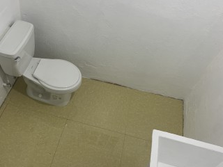 Apartment For Rent in Bridgemount off Long Lane, Kingston / St. Andrew Jamaica | [4]