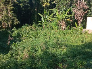 Residential lot For Sale in Oracabessa PO, St. Mary, Jamaica