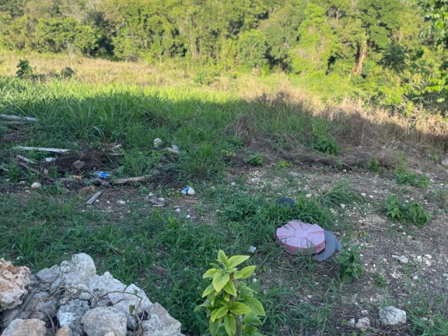 House For Sale in Three Hills, St. Mary Jamaica | [2]