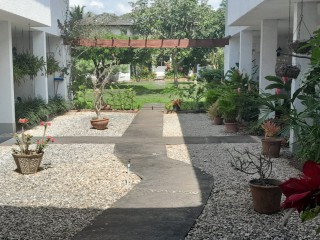 Apartment For Rent in Kingston 9, Kingston / St. Andrew Jamaica | [9]