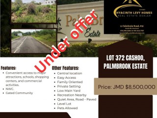Land For Sale - Lacovia, St. Elizabeth, Jamaica