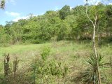 Commercial/farm land For Sale in Browns Town, St. Ann Jamaica | [5]