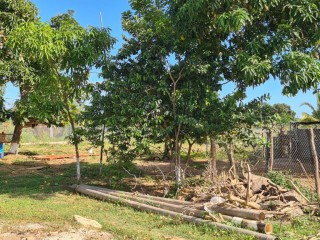 4 bed Commercial/farm land For Sale in Bushy Park, St. Catherine, Jamaica