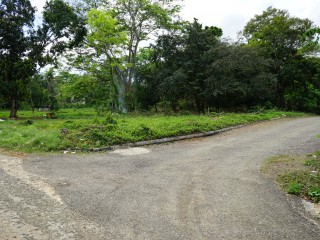 Residential lot For Sale in Brighton Santa Cruz, St. Elizabeth Jamaica | [1]