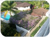 Apartment For Rent in Montego Bay, St. James Jamaica | [6]