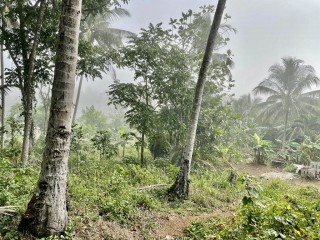 Residential lot For Sale in Spring Vale, St. Catherine Jamaica | [10]