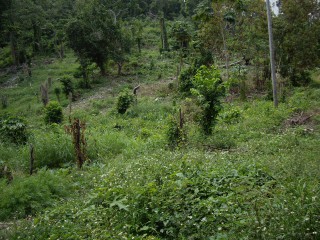 Residential lot For Sale in St Margarets Bay, Portland Jamaica | [3]