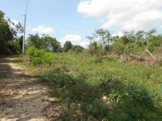 Land For Sale in Rosewell, Clarendon Jamaica | [7]