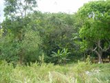 Residential lot For Sale in Moneague, St. Ann Jamaica | [8]