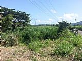 Commercial/farm land For Sale in Grange Hill, Westmoreland Jamaica | [3]