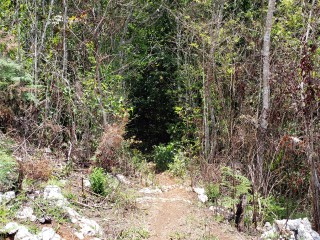 Land For Sale in Friendship St Ann, St. Ann Jamaica | [1]