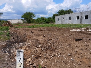Land For Sale in Lacovia, St. Elizabeth Jamaica | [1]