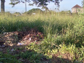 Land For Rent in Leiba Gardens, St. Catherine Jamaica | [4]