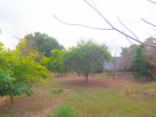 House For Sale in Near Denbigh, Clarendon Jamaica | [4]