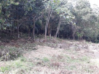 Residential lot For Sale in Ingleside Mandeville, Manchester Jamaica | [2]