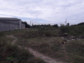 Residential lot For Sale in denbigh, Clarendon Jamaica | [5]