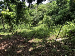 Commercial/farm land For Sale in Dover Castle Redwood St Catherine, St. Catherine, Jamaica