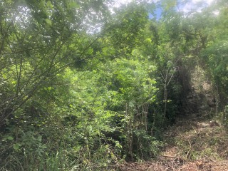 Residential lot For Sale in 10 acres Bannister Old Harbour, St. Catherine Jamaica | [5]
