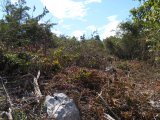 Residential lot For Sale in Sligoville, St. Catherine Jamaica | [5]