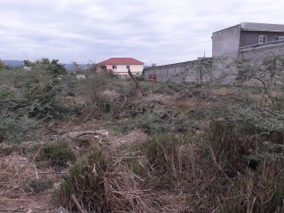 Residential lot For Sale in denbigh, Clarendon Jamaica | [3]