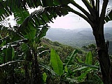Commercial/farm land For Sale in Montego Bay, St. James Jamaica | [4]
