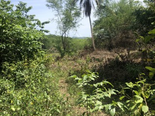 Land For Sale in Negril, Westmoreland, Jamaica