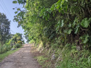 Residential lot For Sale in Red Hills, Kingston / St. Andrew Jamaica | [1]