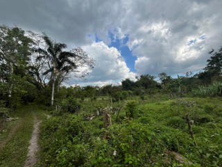Commercial/farm land For Sale in Belvedere Chester Castle, Hanover Jamaica | [1]