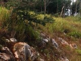 Residential lot For Sale in Plantation Heights, Kingston / St. Andrew Jamaica | [3]