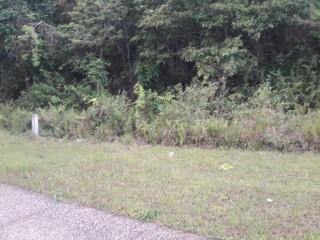 Residential lot For Sale in Moorlands Estate, Manchester Jamaica | [3]