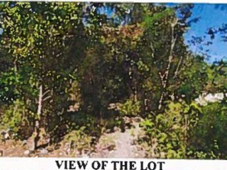 Residential lot For Sale in Shady Grove, St. Thomas, Jamaica