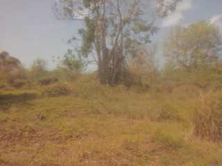 Land For Sale in May Pen, Clarendon Jamaica | [7]