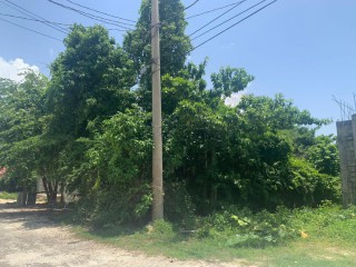 Residential lot For Sale in LUANA PEN BLACK RIVER, St. Elizabeth, Jamaica