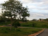 Residential lot For Sale in Pyramid Heights, St. Ann Jamaica | [2]
