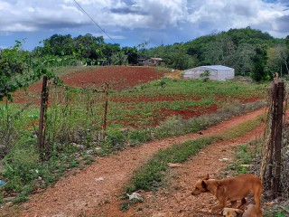 Land For Sale in May Day Plantation, Manchester Jamaica | [1]