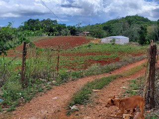 Residential lot For Sale in May Day Plantation, Manchester, Jamaica