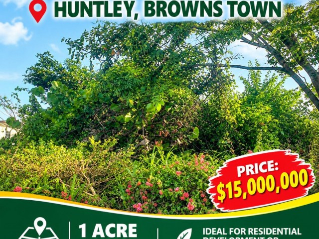 Land For Sale in jamaica, St. James Jamaica | [8]