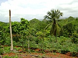 Commercial/farm land For Sale in Kitson Town, St. Catherine Jamaica | [2]