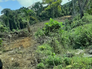 Residential lot For Sale in Cardiff Hall, St. Ann Jamaica | [10]