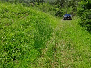 Land For Sale in Seaford Town, Westmoreland, Jamaica