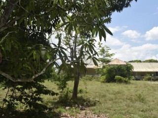 Residential lot For Sale in Duncans, Trelawny Jamaica | [1]