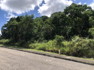 Residential lot For Sale in Moorland Estate, Manchester Jamaica | [4]