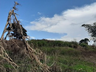 Land For Sale in James Hill, Clarendon Jamaica | [12]