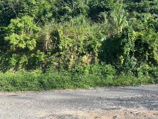 Residential lot For Sale in Rio Nievo, St. Mary, Jamaica