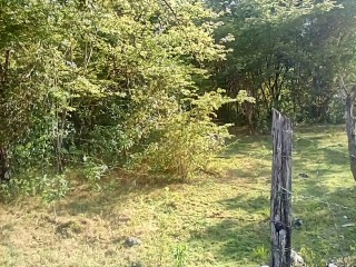 Land For Sale in Goshen, St. Elizabeth, Jamaica