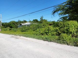 Land For Sale in Lionel Town, Clarendon, Jamaica