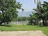 Commercial/farm land For Sale in Linstead, St. Catherine Jamaica | [9]