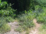 Residential lot For Sale in Negril UNDER OFFER, Westmoreland Jamaica | [4]