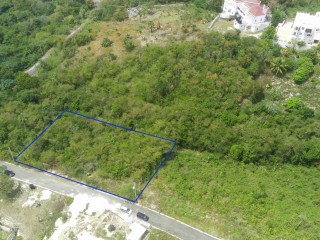 Residential lot For Sale in Whitehouse, Westmoreland Jamaica | [6]